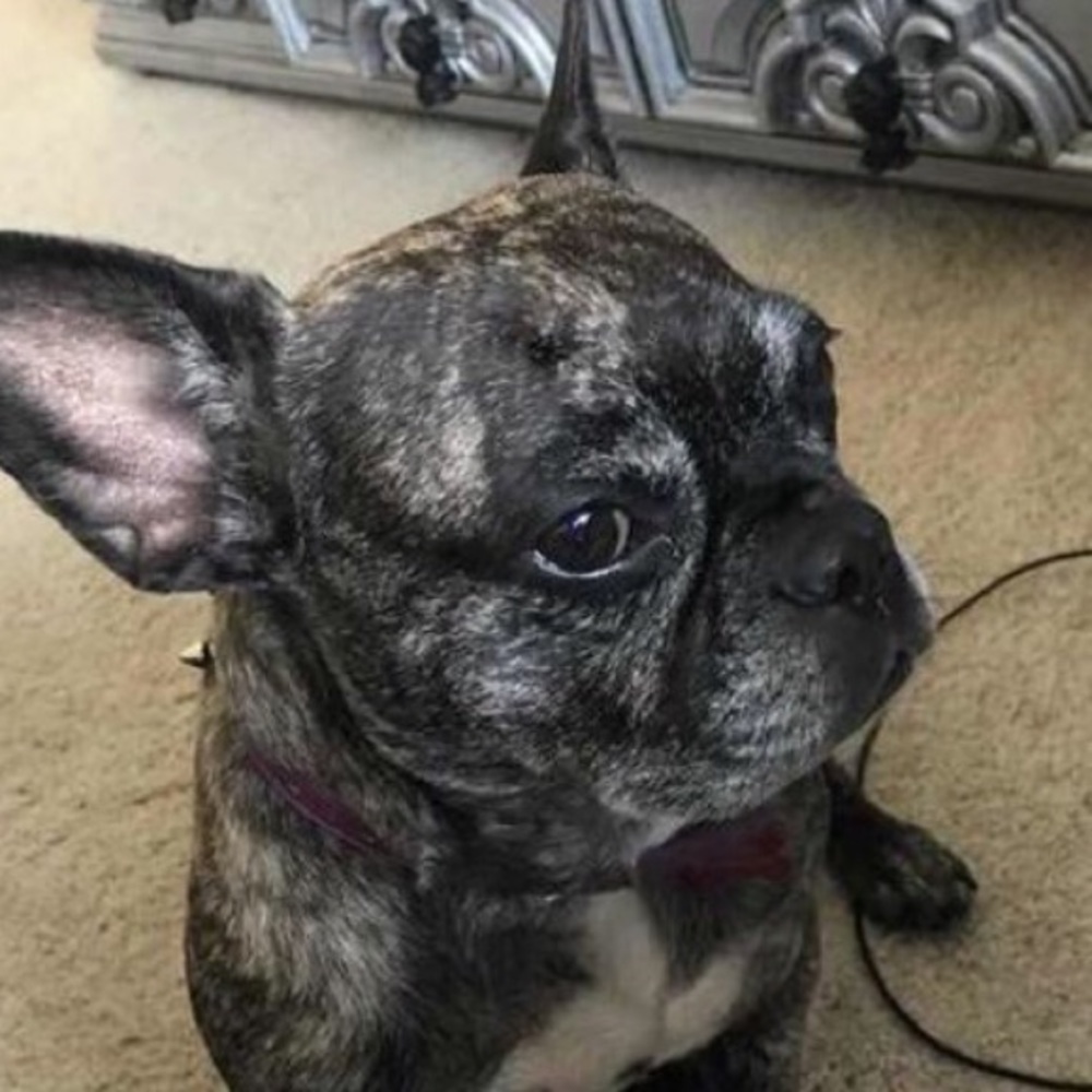 Meet your Posher, Bryan